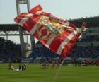 Bayrak U.D. Almería, İspanya futbol ligi takımı
